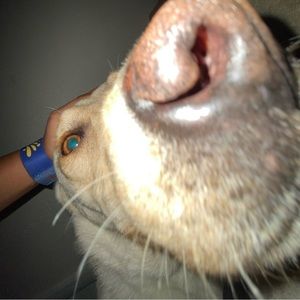 Meet your Posher, Colby